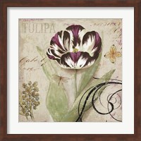 Framed Tulipa II