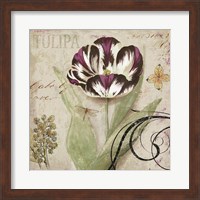 Framed Tulipa II