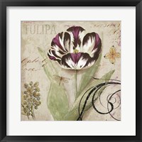 Tulipa II Framed Print