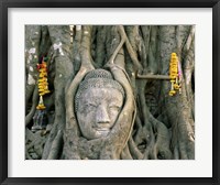 Framed Buddha head in tree roots, Wat Mahathat, Ayutthaya, Thailand