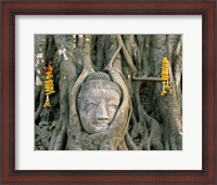 Framed Buddha head in tree roots, Wat Mahathat, Ayutthaya, Thailand