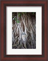 Framed Buddha Head in the Roots of a Tree