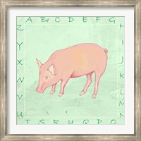 Framed Pig Alphabet