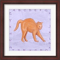 Framed Cat Alphabet