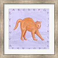 Framed Cat Alphabet