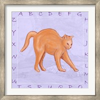 Framed Cat Alphabet