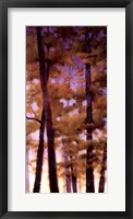 Framed Purple Wood II