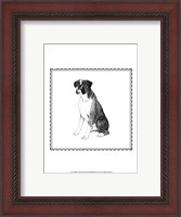 Framed Best in Show XI