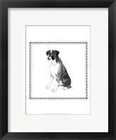Framed Best in Show XI