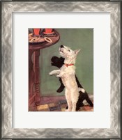 Framed Terrier Trouble V