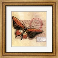 Framed Le Papillon II