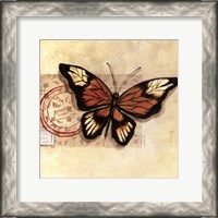 Framed Le Papillon III