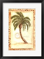 Framed Licuala Grandis Palm