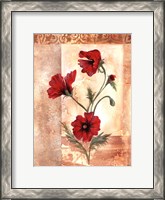 Framed Red Poppies III