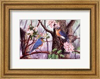 Framed Bluebirds