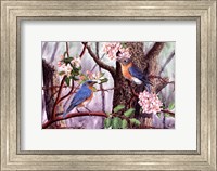 Framed Bluebirds