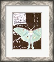 Framed Le Papillon Script I