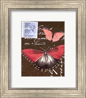 Framed Le Papillon Script II