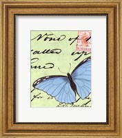 Framed Le Papillon Script III