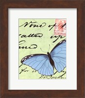 Framed Le Papillon Script III