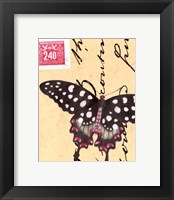 Framed Le Papillon Script IV