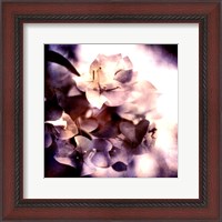 Framed Purple Dusk I