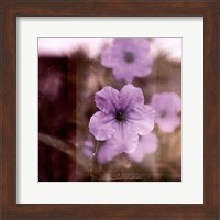 Framed Purple Tranquility II