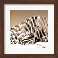 Framed Fences in the Sand II