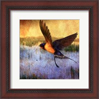Framed Barnswallow