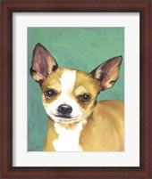 Framed Dog Portrait-Chihuahua