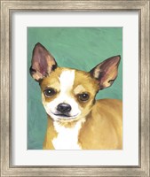 Framed Dog Portrait-Chihuahua