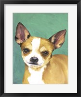 Framed Dog Portrait-Chihuahua