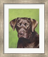 Framed Dog Portrait-Chocolate