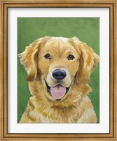 Framed Dog Portrait-Golden