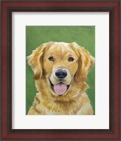 Framed Dog Portrait-Golden