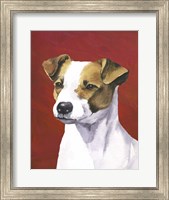 Framed Dog Portrait-Jack