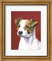 Framed Dog Portrait-Jack