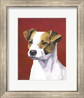 Framed Dog Portrait-Jack