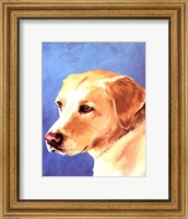 Framed Dog Portrait-Yellow Lab