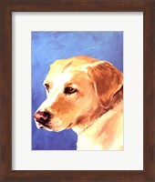 Framed Dog Portrait-Yellow Lab