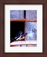 Framed Barn Swallows Window