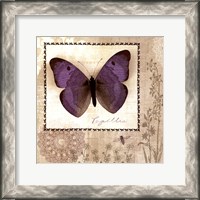 Framed Butterfly Notes I