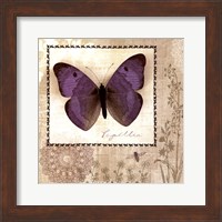 Framed Butterfly Notes I