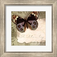 Framed Butterfly Notes IV