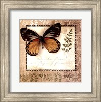 Framed Butterfly Notes V