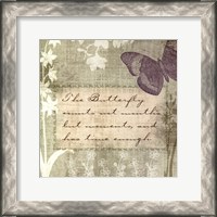 Framed Butterfly Notes VII