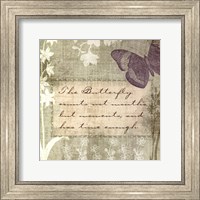 Framed Butterfly Notes VII