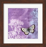 Framed Butterfly Notes VIII