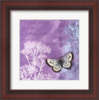 Framed Butterfly Notes VIII