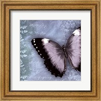 Framed Butterfly Notes X